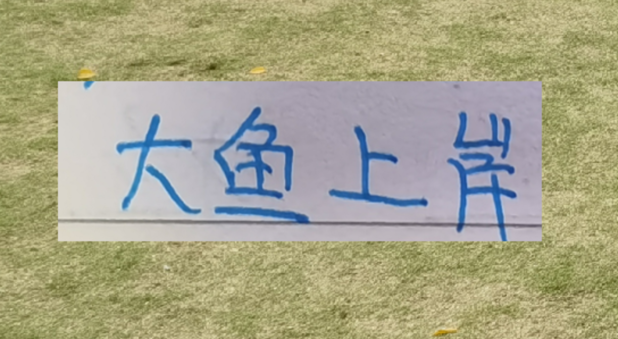 99贵宾会平台-海港本土大鱼上岸了！新赛季前2轮转正不在话下吗？